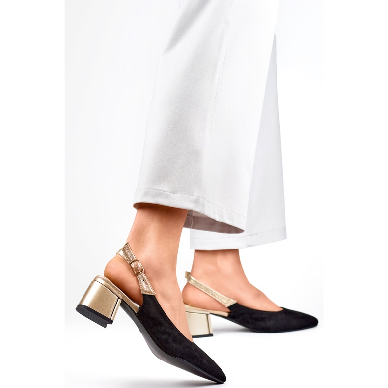 Čerpadla Model GD-FL495B Černá - PRIMO černý 2