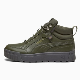 Boty Puma Tarrenz Sb Iii Puretex M 393930-03 zelená 5