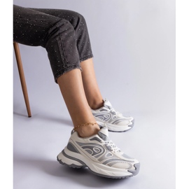 Šedé dámské sportovní tenisky šedá 2