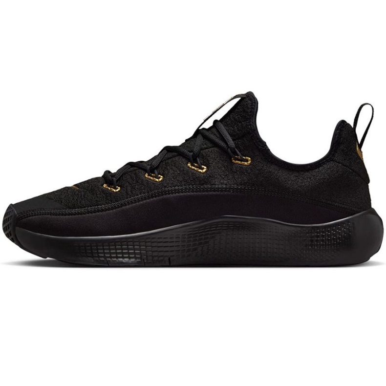 Nike LeBron TR 1 FJ6151-004 Černé boty černý 1
