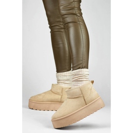 Dámské sněhule na platformě, světle béžové TL242-BE béžový 2