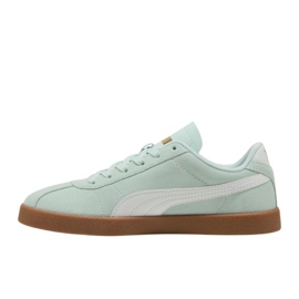 Puma Club II 397444 10 bot zelená 4
