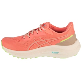 ASICS GT-1000 13 TR 1012B828-700 BUND SOOT pomerančový 1