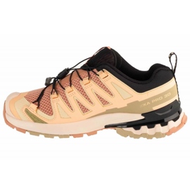 SALOMON XA PRO 3D V9 BUNDING SOTS v L47589100 hnědý 1