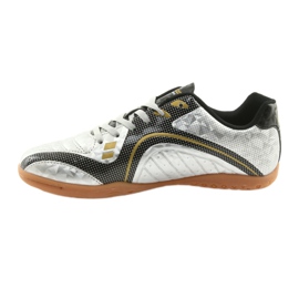 Sportovní hala American Club ve stříbrné barvě stříbrný stříbrný 2