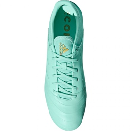 Kopačky Adidas Copa 18.2 FG M DB2446 modrý 1