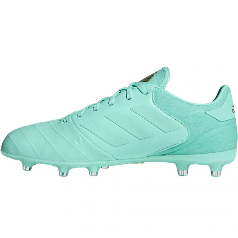 Kopačky Adidas Copa 18.2 FG M DB2446 modrý 2