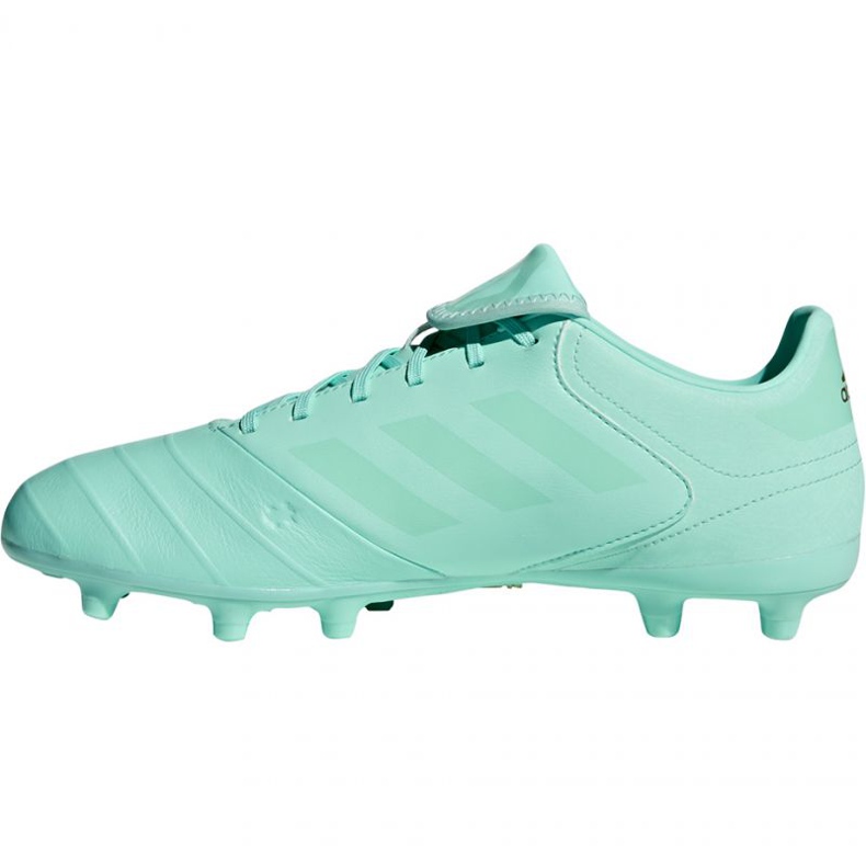 Kopačky Adidas Copa 18.3 Fg M DB2462 modrý modrý 2