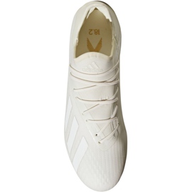 Kopačky Adidas X 18.2 Fg M DB2181 bílý bílý 2