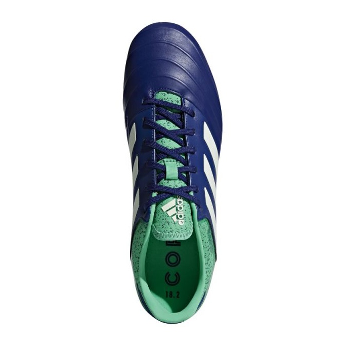 Kopačky Adidas Copa 18.2 Fg M CP8955 vícebarevný námořnická modř 1