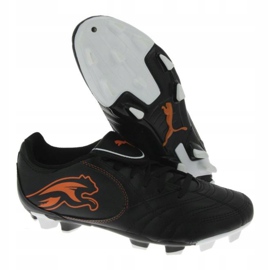 Kopačky Puma Boca Fg Jr 102532 03 černá černá 1