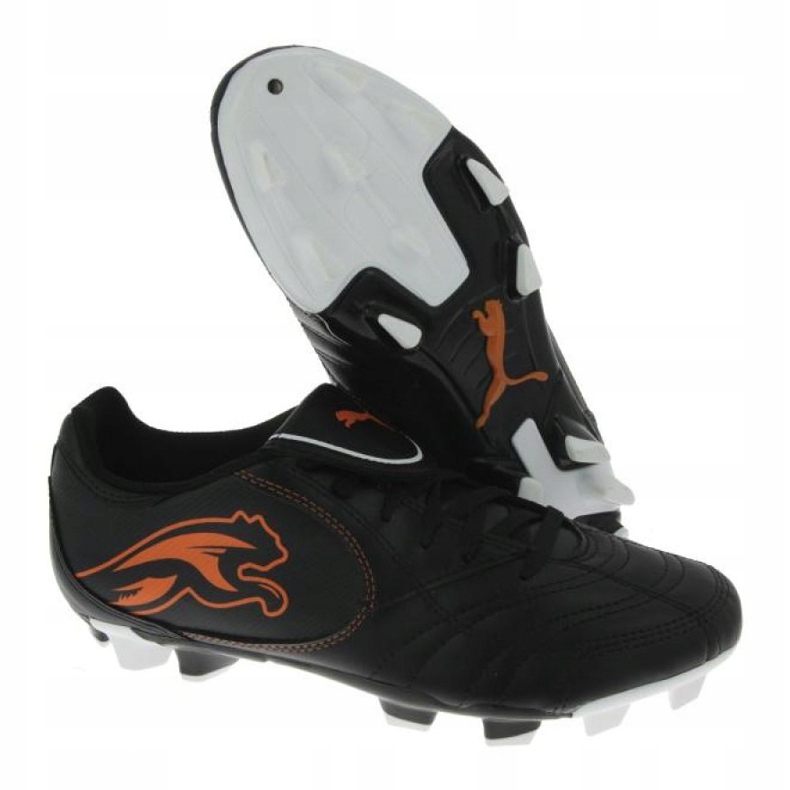 Kopačky Puma Boca Fg Jr 102532 03 černá černá 1