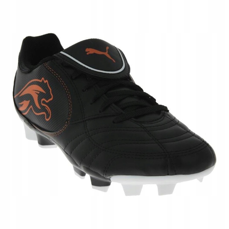 Kopačky Puma Boca Fg Jr 102532 03 černý černý 2