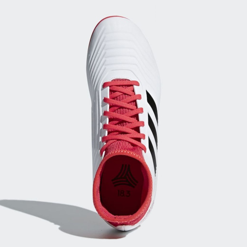 Kopačky Adidas Predator Tango 18.3 Tf Jr CP9040 vícebarevný bílý 2