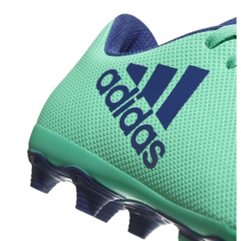 Kopačky Adidas X 17.4 FxG Jr CP9014 modrý zelená 2