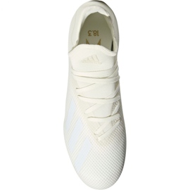 Kopačky Adidas X 18.3 Fg M DB2184 vícebarevný bílý 2 Kopačky Adidas X 18.3 Fg M DB2184 vícebarevný bílý 2