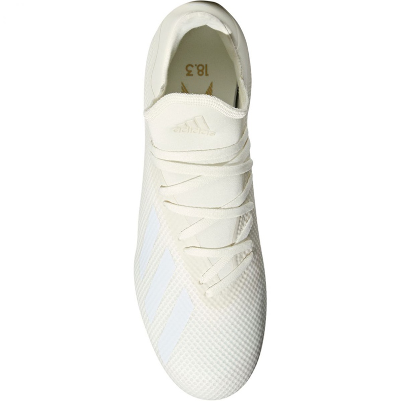 Kopačky Adidas X 18.3 Fg M DB2184 vícebarevný bílý 2 Kopačky Adidas X 18.3 Fg M DB2184 vícebarevný bílý 2