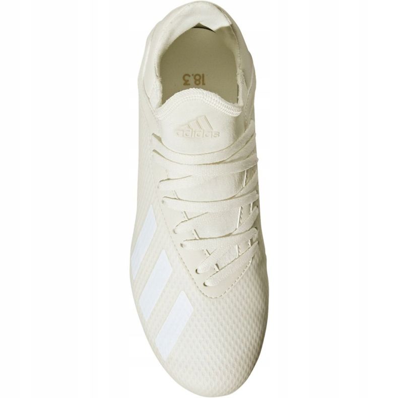 Kopačky Adidas X 18.3 Fg Jr DB2417 vícebarevný bílý 2