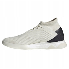 Sálová obuv adidas Predator 19.1 Tr M D98056 vícebarevný bílý 1