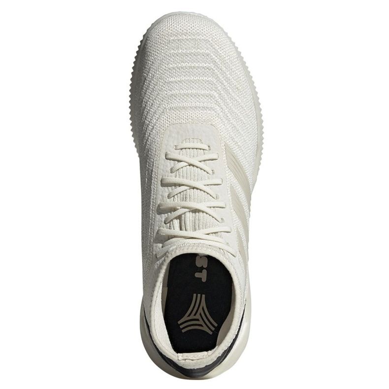 Sálová obuv adidas Predator 19.1 Tr M D98056 vícebarevný bílý 2