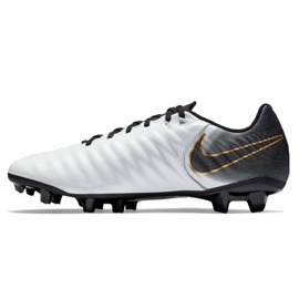 Kopačky Nike Tiempo Legend 7 Academy Fg M AO2596-100 vícebarevný stříbro 1