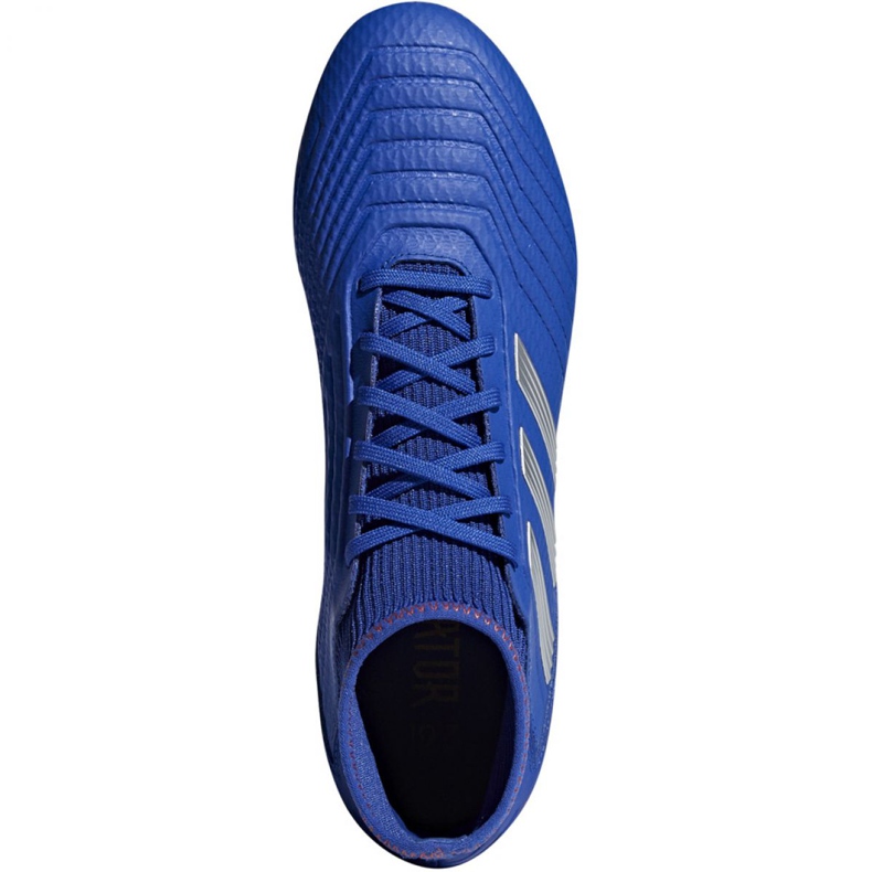 Kopačky Adidas Predator 19.3 Sg M D97957 vícebarevný modrý 2