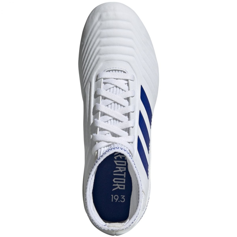 Kopačky Adidas Predator 19.3 Fg Jr CM8535 vícebarevný bílý 2