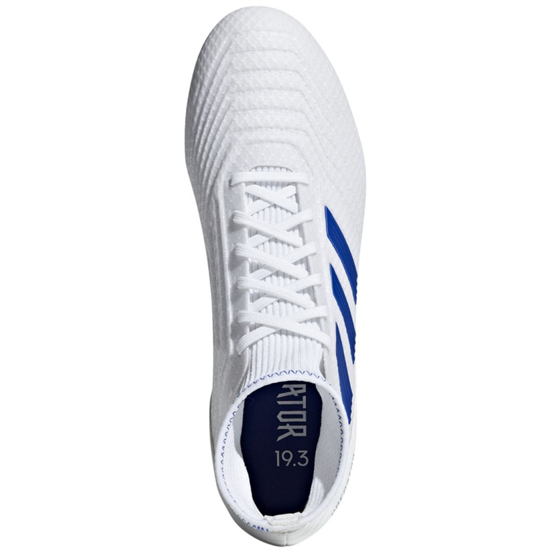 Kopačky Adidas Predator 19.3 Fg M BB9333 vícebarevný bílý 2 Kopačky Adidas Predator 19.3 Fg M BB9333 vícebarevný bílý 2