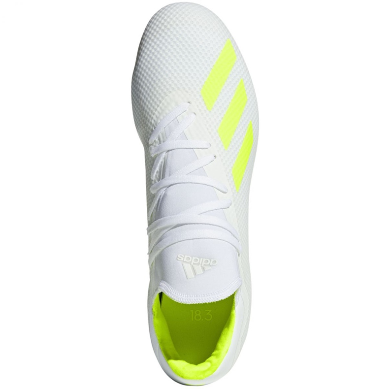 Kopačky Adidas X 18.3 Fg M BB9368 bílý bílý 1