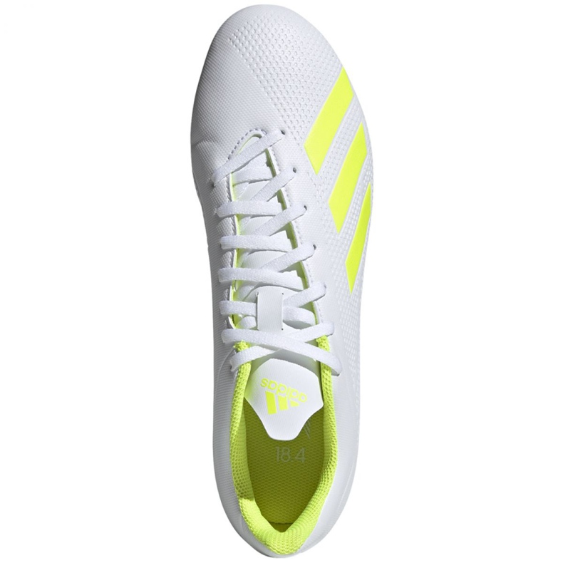 Kopačky Adidas X 18.4 Fg M BB9377 vícebarevný bílý 1