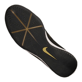 Sálová obuv Nike Zoom Phantom Vnm Pro Ic M BQ7496-077 vícebarevný černý 2
