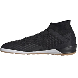 Sálová obuv adidas Predator 19.3 In M F35617 černý černý 1