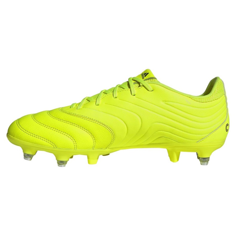 Kopačky Adidas Copa 19.3 Sg M F35449 žlutá žlutá 1