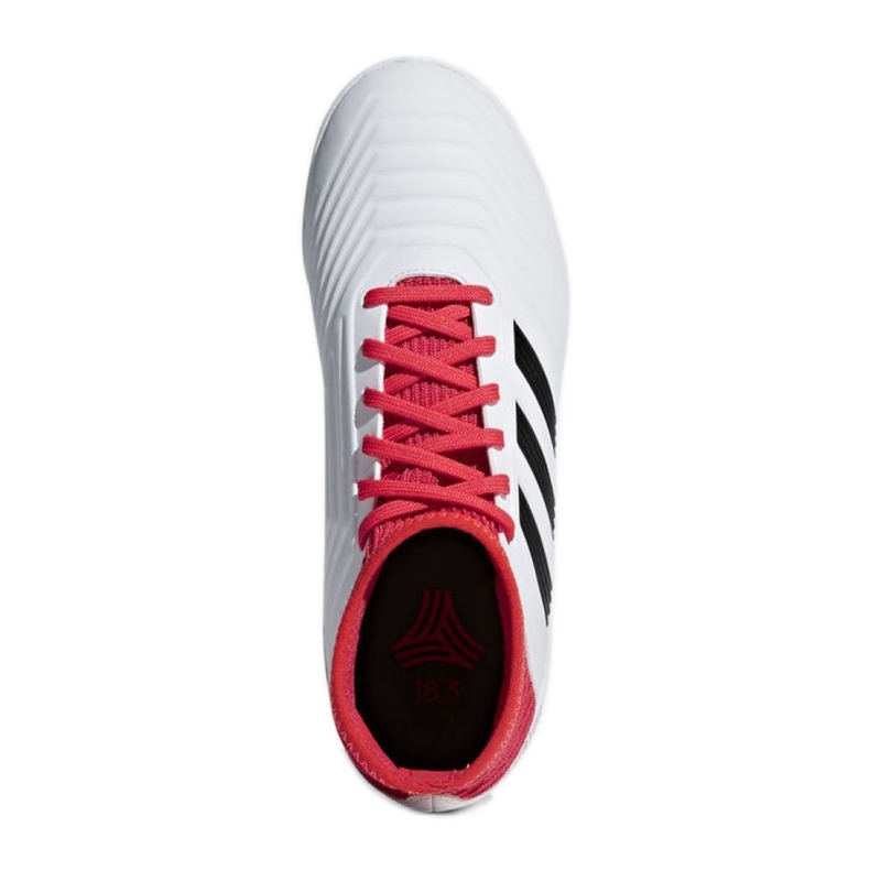 Sálová obuv adidas Predator Tango 18.3 In Jr CP9073 vícebarevný bílý 2