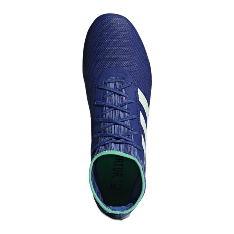 Kopačky Adidas Predator 18.2 Fg M CP9293 vícebarevný modrý 1 Kopačky Adidas Predator 18.2 Fg M CP9293 vícebarevný modrý 1