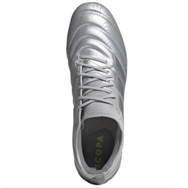 Kopačky Adidas Copa 20.1 Sg M EF8325 šedá stříbrný 1