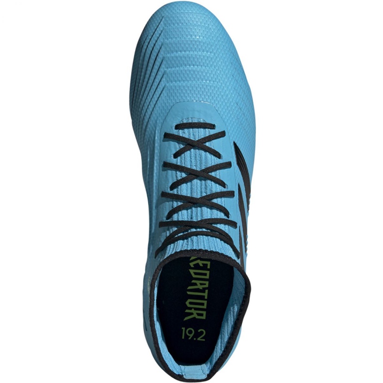 Kopačky Adidas Predator 19.2 Fg M F35604 vícebarevný modrý 2