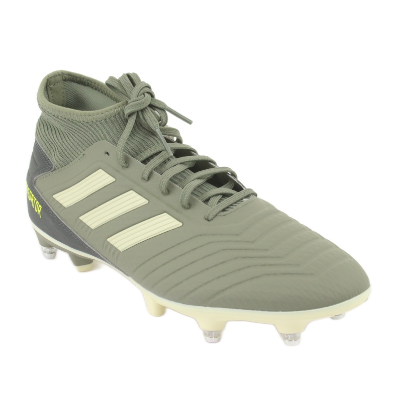 Kopačky Adidas Predator 19.3 Sg M EG2830 zelený 1