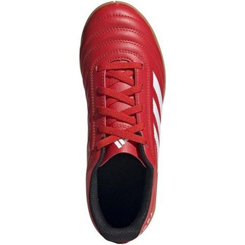 Sálová obuv adidas Copa 20.4 In Jr EF1928 červený červený 1