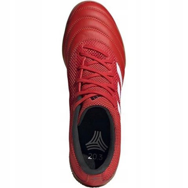 Sálová obuv adidas Copa 20.3 In Sala M G28548 červené červené 1