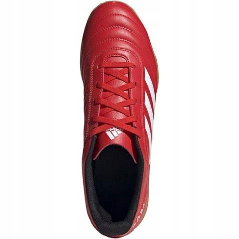 Sálová obuv adidas Copa 20.4 In M EF1957 červený červený 1