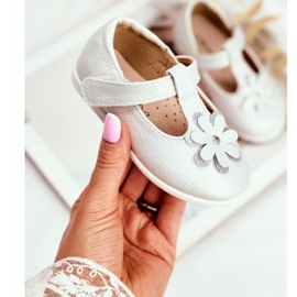 Apawwa Dětské balerínky se suchým zipem Flower Silver Antrela šedá 1