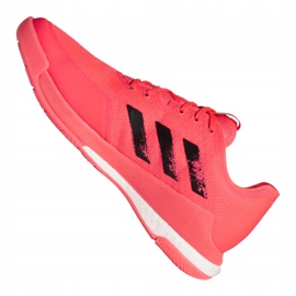 Volejbalové boty Adidas Crazyflight Tokyo M FX1764 růžový vícebarevný 1