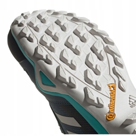 Boty Adidas Terrex AX3 Gtx M FV6850 černá pomerančový růžový šedá 1