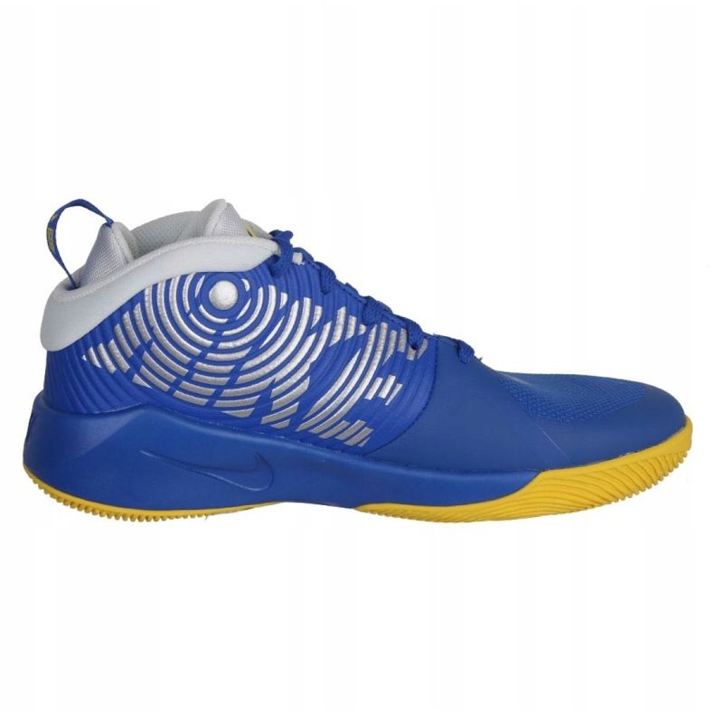 Basketbalové boty Nike Team Hustle D 9 Jr AQ4224-404 vícebarevný modrý 1