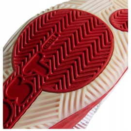 Basketbalové boty Adidas Pro Boost Low M FW9503 vícebarevný bílý 1