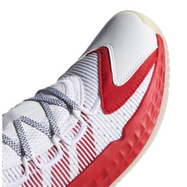 Basketbalové boty Adidas Pro Boost Low M FW9503 vícebarevný bílý 2