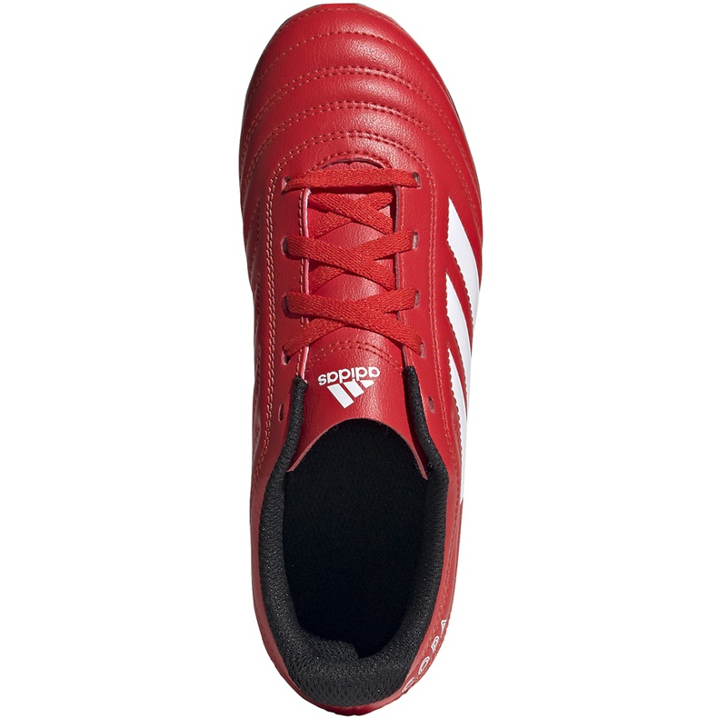 Kopačky Adidas Copa 20.4 Fg Junior červené EF1919 červený červený 1