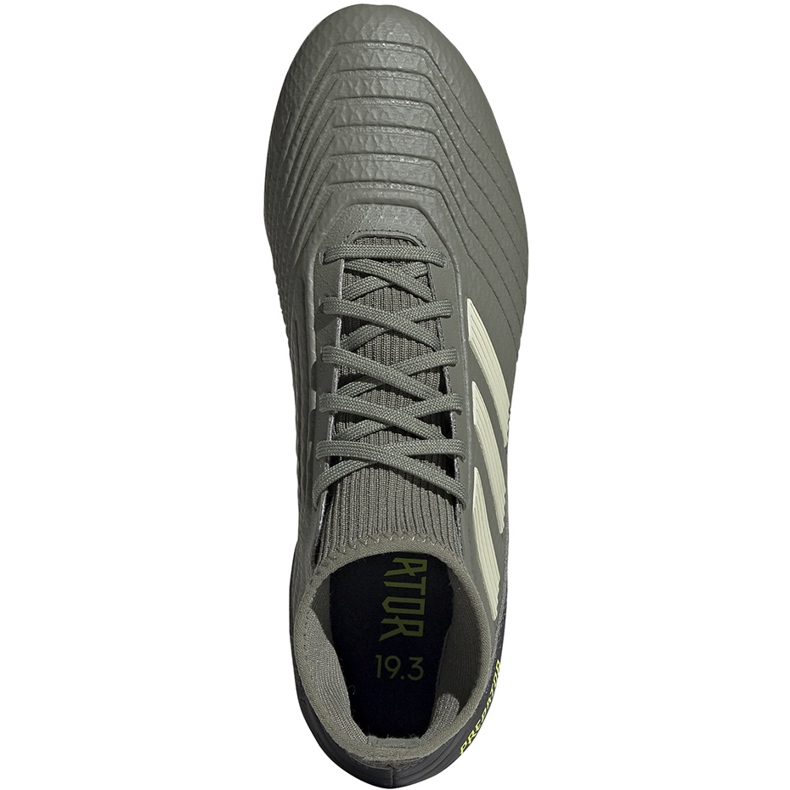 Kopačky Adidas Predator 19.3 Fg EF8208 šedá šedá 1