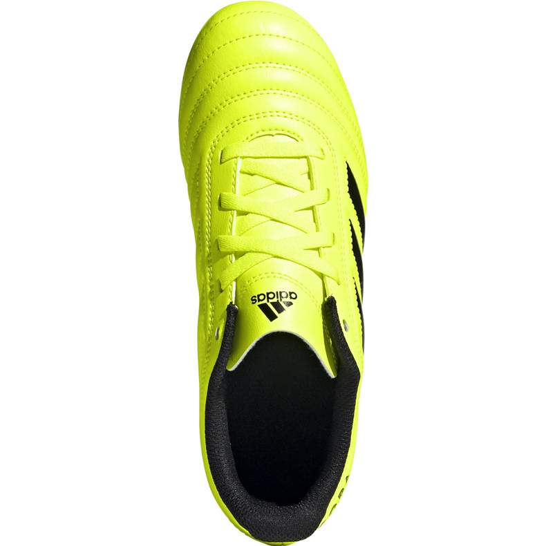 Adidas Copa 19.4 Fg Dětské kopačky žluté F35461 žluť žluť 1